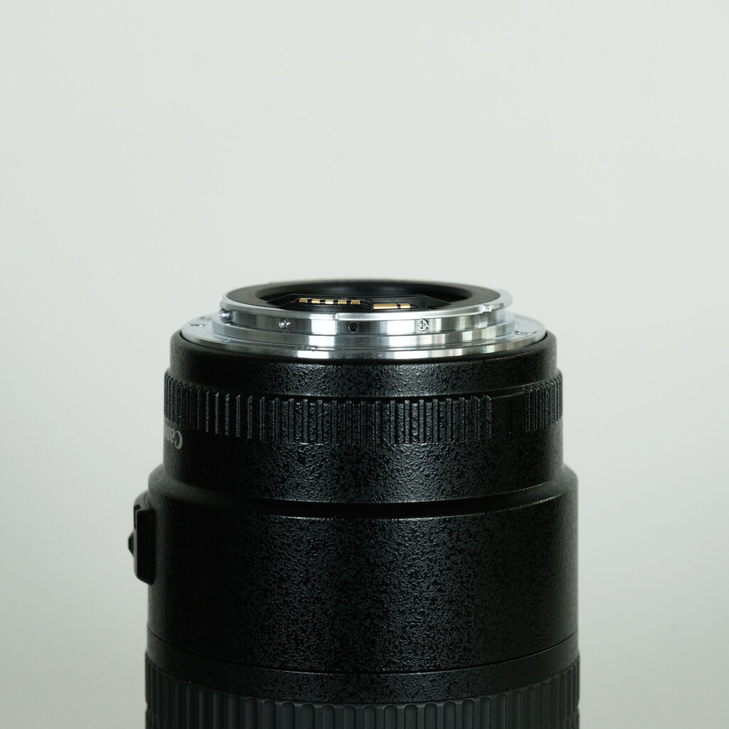 Canon EF100mm F2.8 マクロ USM