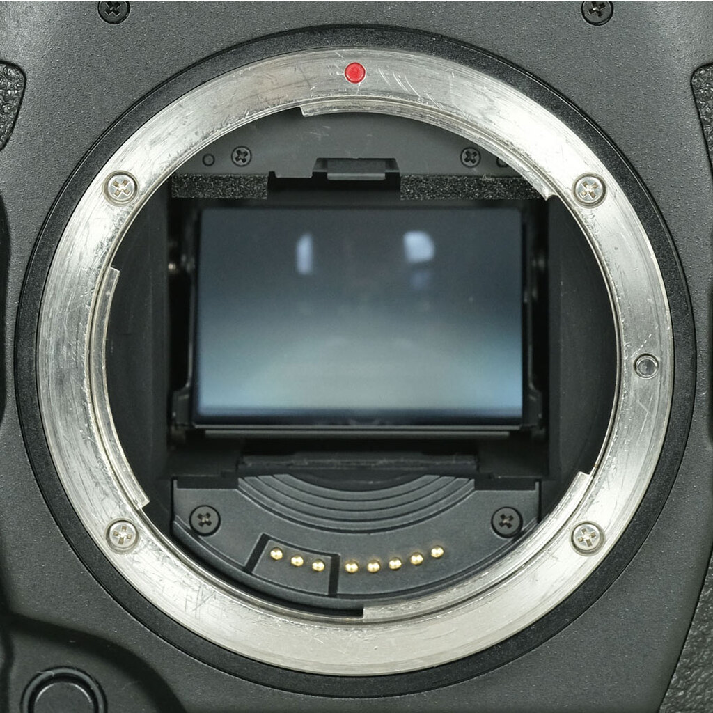 Canon EOS-1D X Mark III