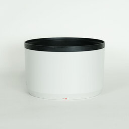 Canon RF70-200mm F4 L IS USM