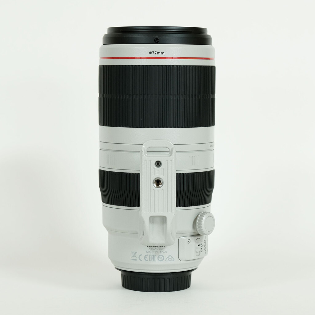 Canon EF100-400mm F4.5-5.6L IS II USM