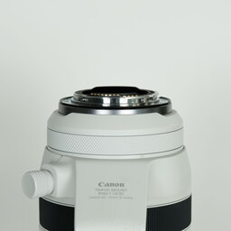 Canon RF100-500mm F4.5-7.1L IS USM