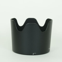 Nikon AF-S VR Zoom-Nikkor 70-300mm F4.5-5.6G IF-ED