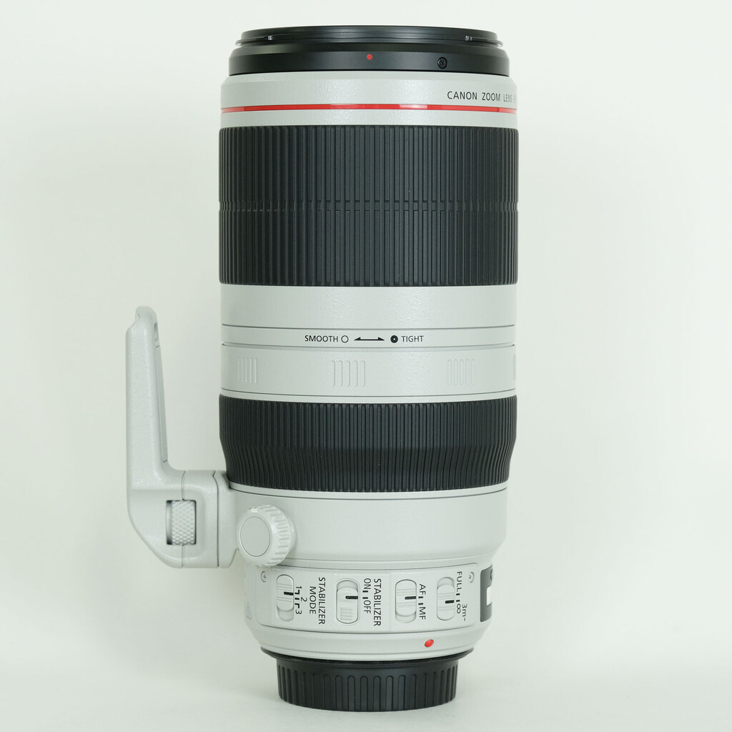 Canon EF100-400mm F4.5-5.6L IS II USM