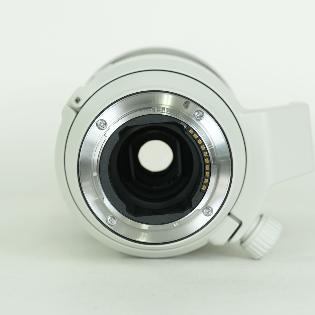 SONY FE70-200mm F4 Macro G OSS II SEL70200G2