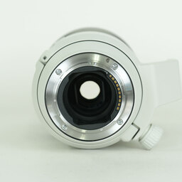 SONY FE70-200mm F4 Macro G OSS II SEL70200G2