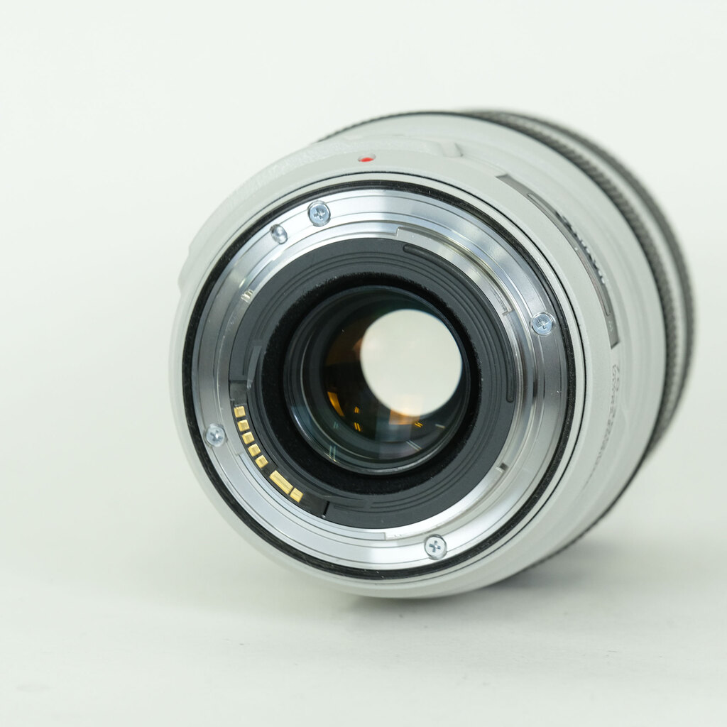 Canon EF70-300mm F4-5.6L IS USM