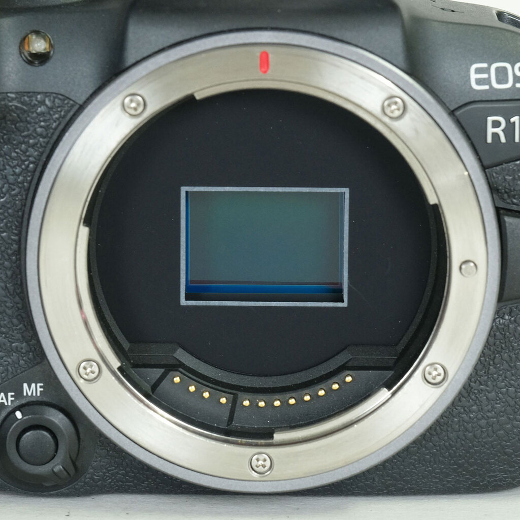 Canon EOS R10