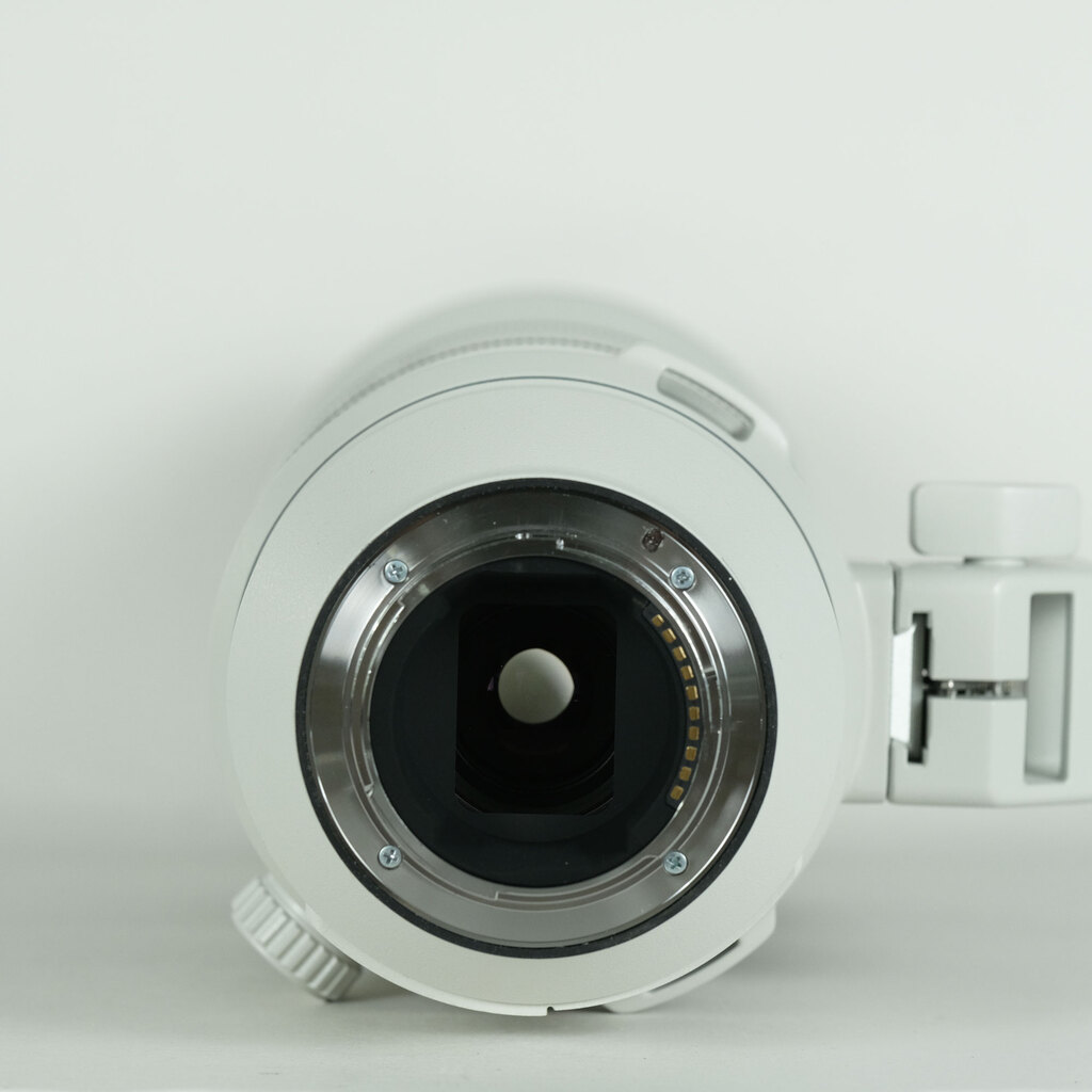 SONY FE 200-600mm F5.6-6.3 G OSS SEL200600Gの出品 | ONE SCENE