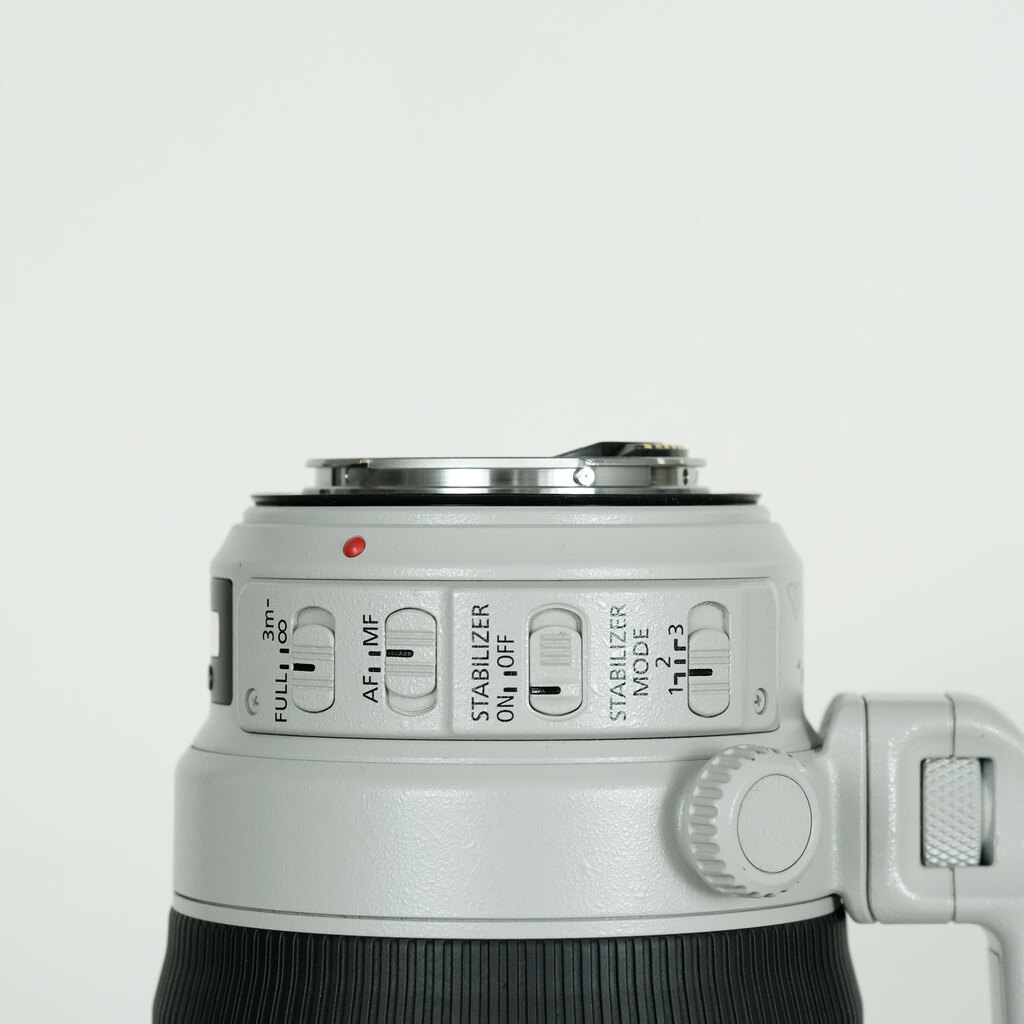 Canon EF100-400mm F4.5-5.6L IS II USM