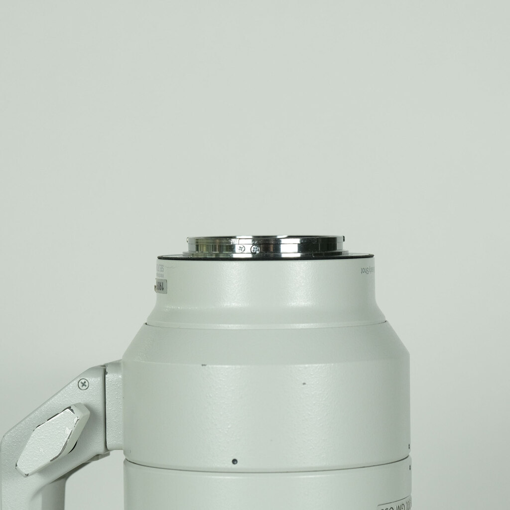 SONY FE 70-200mm F2.8 GM OSS SEL70200GMの出品 | ONE SCENE（ワン