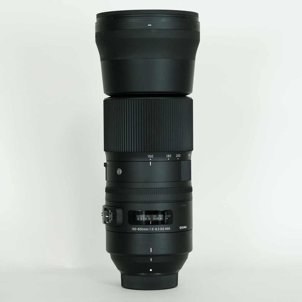 SIGMA 150-600mm F5-6.3 DG OS HSM｜Contemporary [ニコンF用]