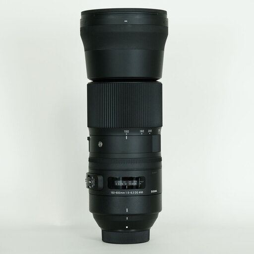 SIGMA 150-600mm F5-6.3 DG OS HSM｜Contemporary [ニコンF用]