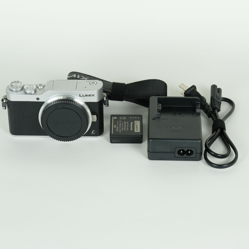 Panasonic LUMIX DC-GF9 ボディ シルバーの出品 | ONE SCENE（ワンシーン）