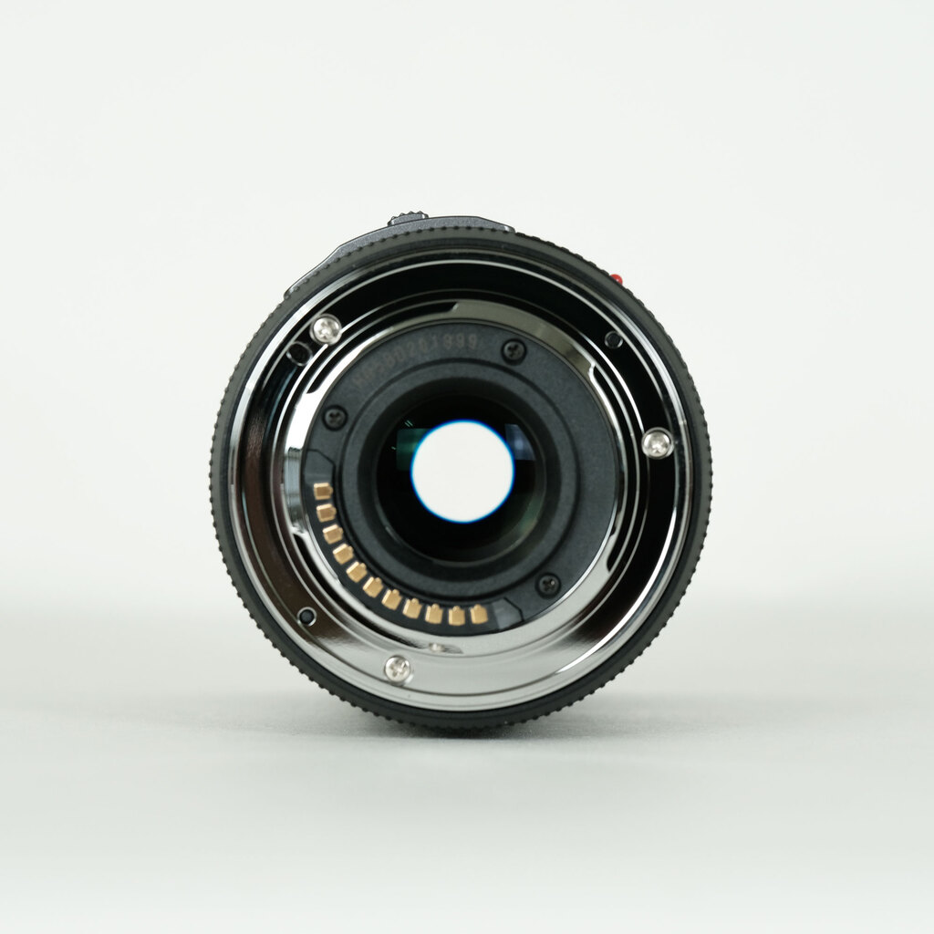 Panasonic LUMIX G X VARIO PZ 45-175mm / F4.0-5.6 ASPH. / POWER O.I.S.