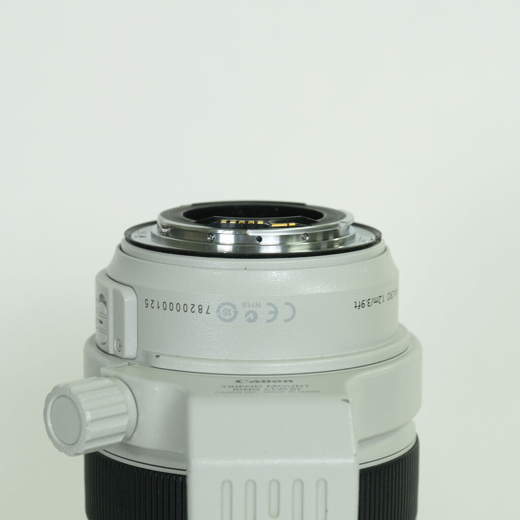 Canon EF70-300mm F4-5.6L IS USM
