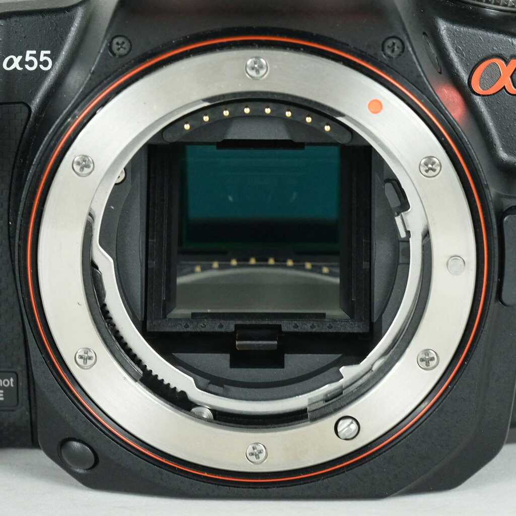 SONY α55（SLT-A55V）の出品 | ONE SCENE（ワンシーン）