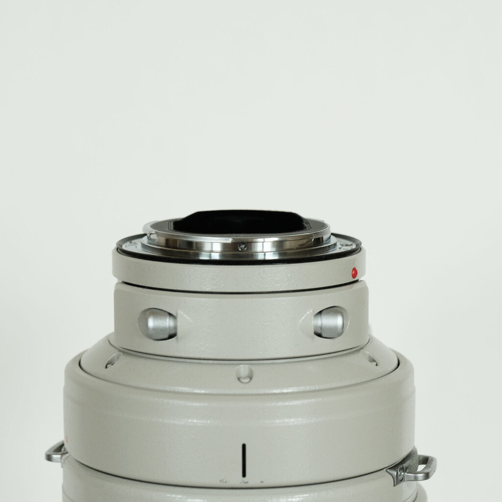 Canon EF300mm F2.8L IS USMの出品 | ONE SCENE（ワンシーン）