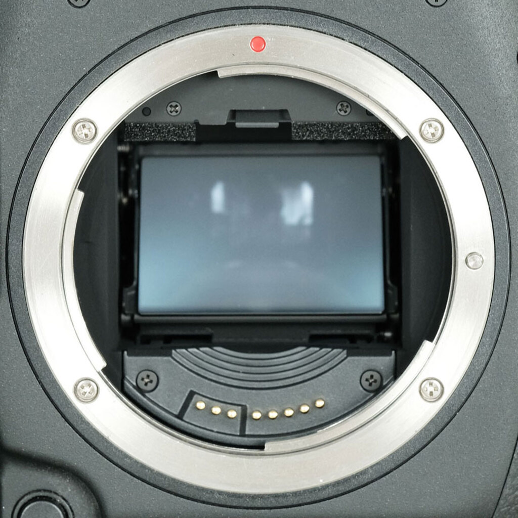 Canon EOS-1D X Mark II