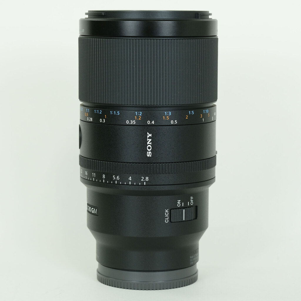 SONY FE 100mm F2.8 Macro GM OSS SEL100M28GM