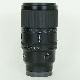 SONY FE 100mm F2.8 Macro GM OSS SEL100M28GM