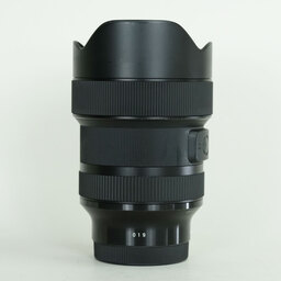 SIGMA 14-24mm F2.8 DG DN｜Art [ソニーE用]