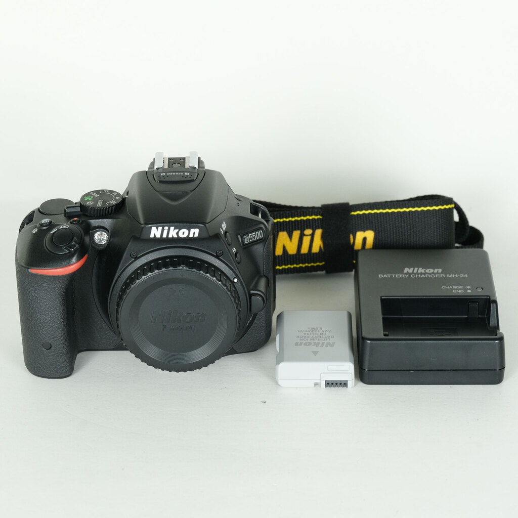 Nikon D5500
