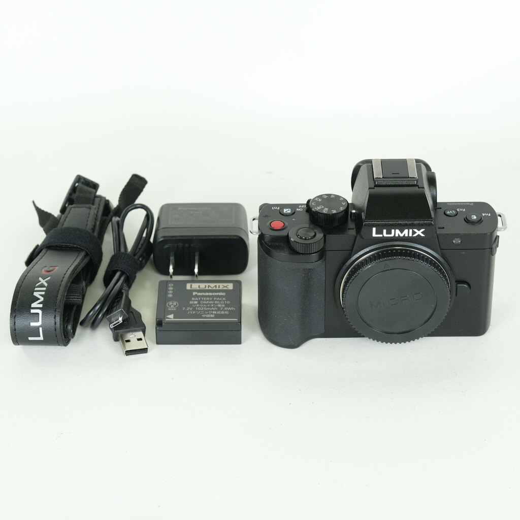 Panasonic LUMIX DC-G100