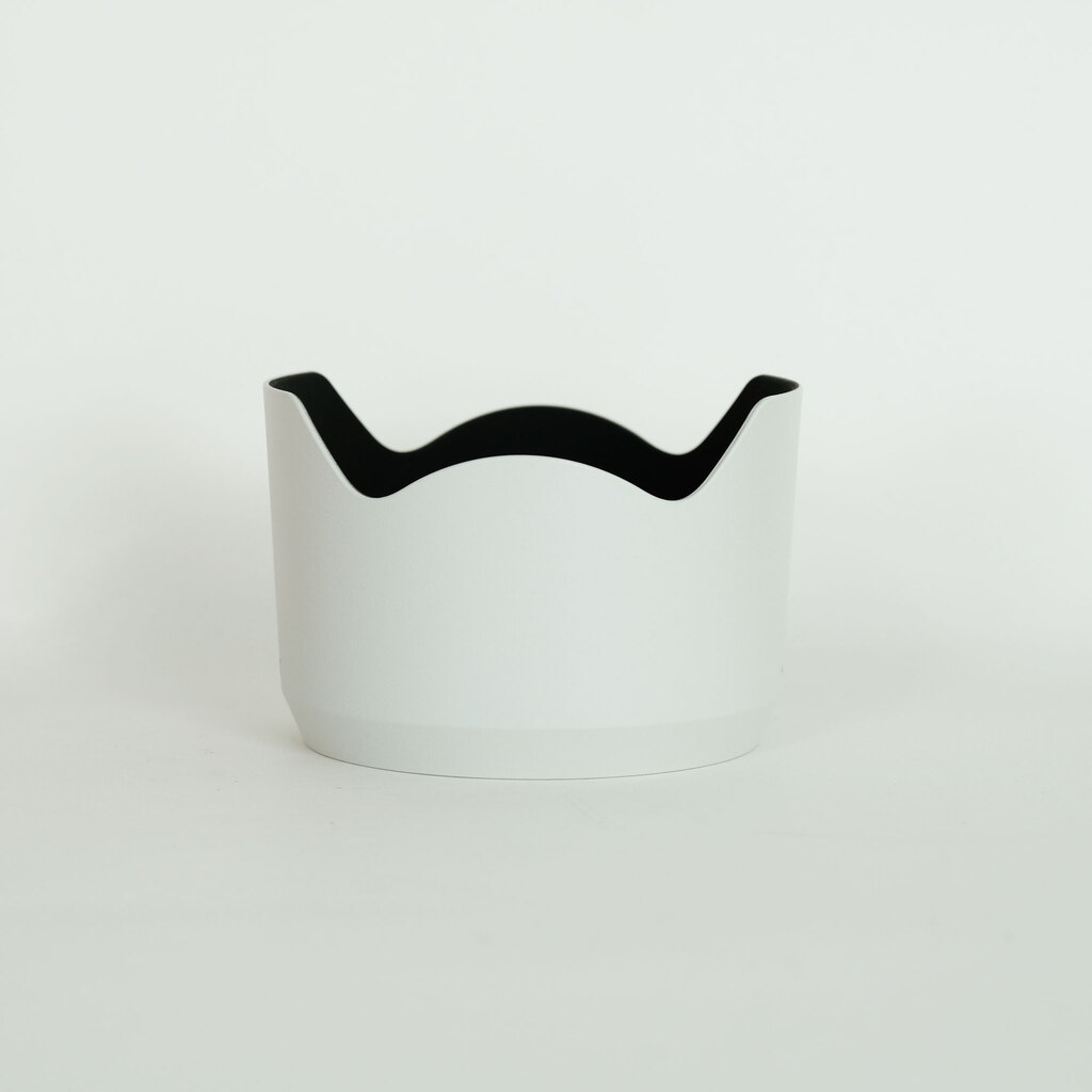 SONY FE70-200mm F4 Macro G OSS II SEL70200G2