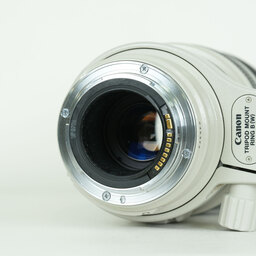 Canon EF100-400mm F4.5-5.6L IS USM