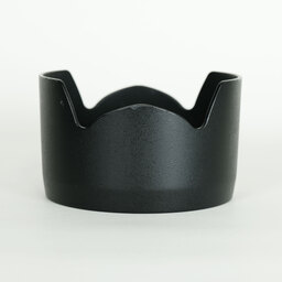 Nikon AF-S DX Zoom-Nikkor 17-55mm f/2.8G IF-ED