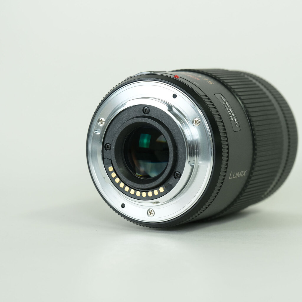 Panasonic LUMIX G X VARIO PZ 45-175mm / F4.0-5.6 ASPH. / POWER O.I.S.