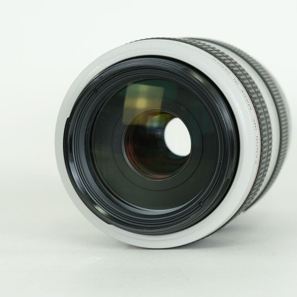 Canon EF70-300mm F4-5.6L IS USM