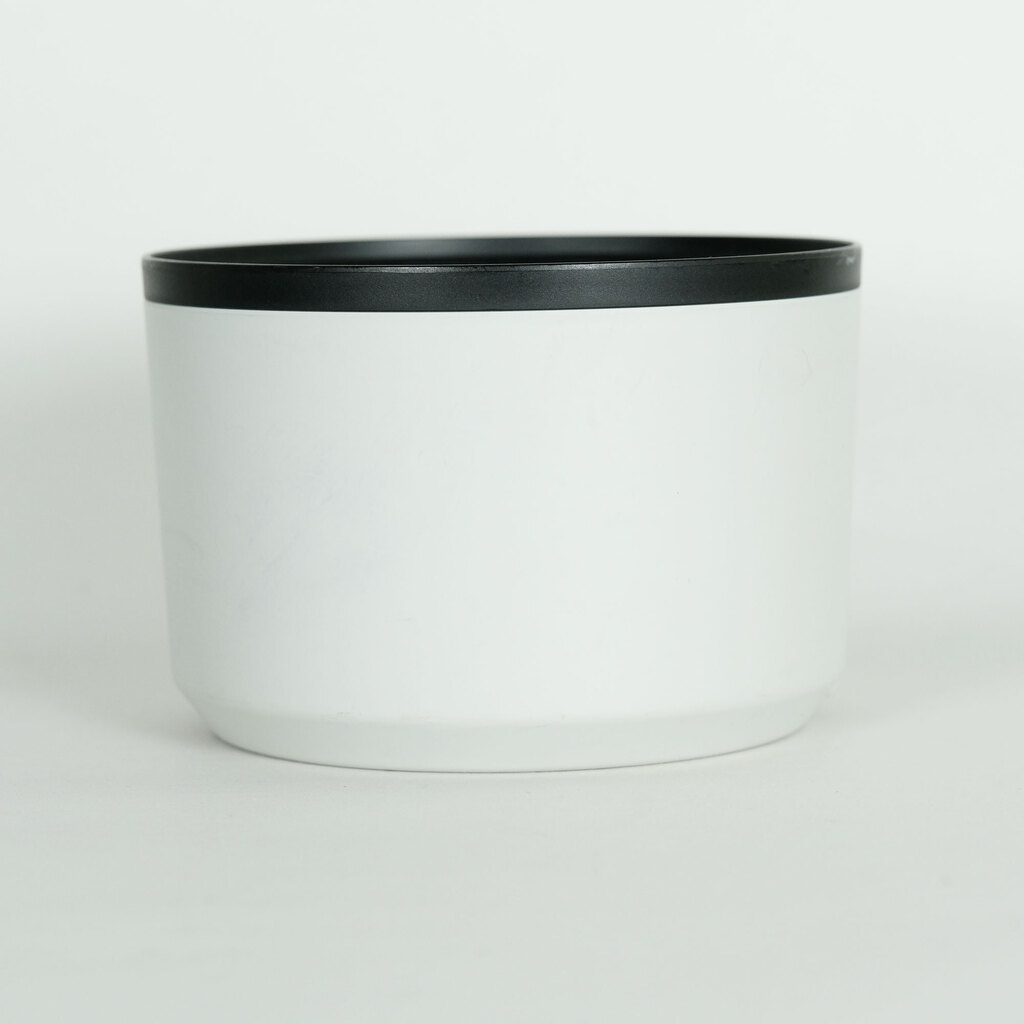 Canon RF100-500mm F4.5-7.1L IS USM