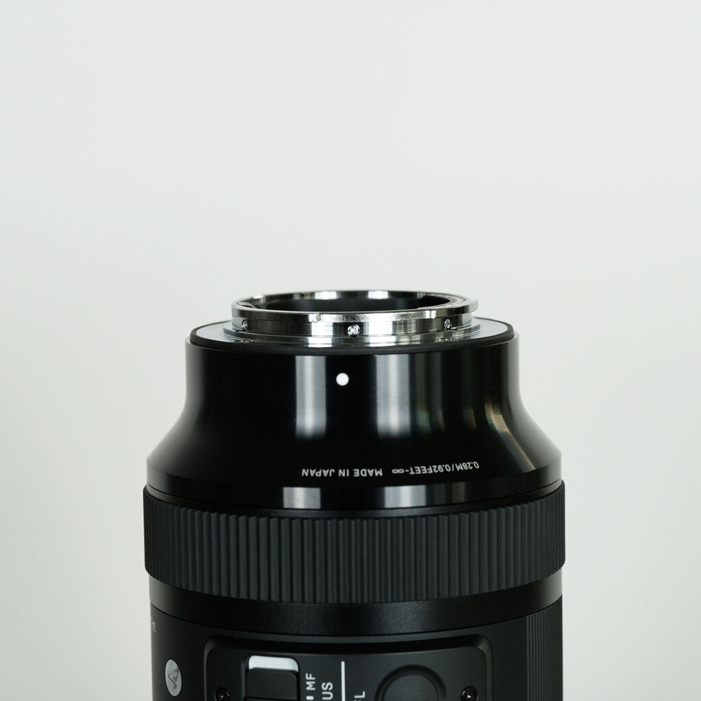 SIGMA 14-24mm F2.8 DG DN｜Art [ソニーE用]
