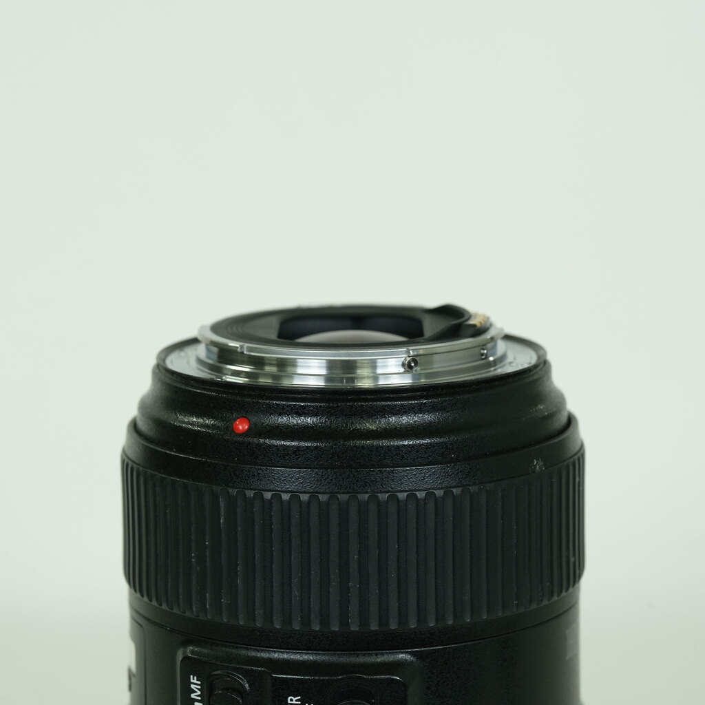 Canon EF24-105mm F4L IS II USM