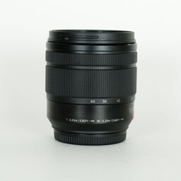 Panasonic LUMIX G VARIO 12-60mm / F3.5-5.6 ASPH. / POWER O.I.S.