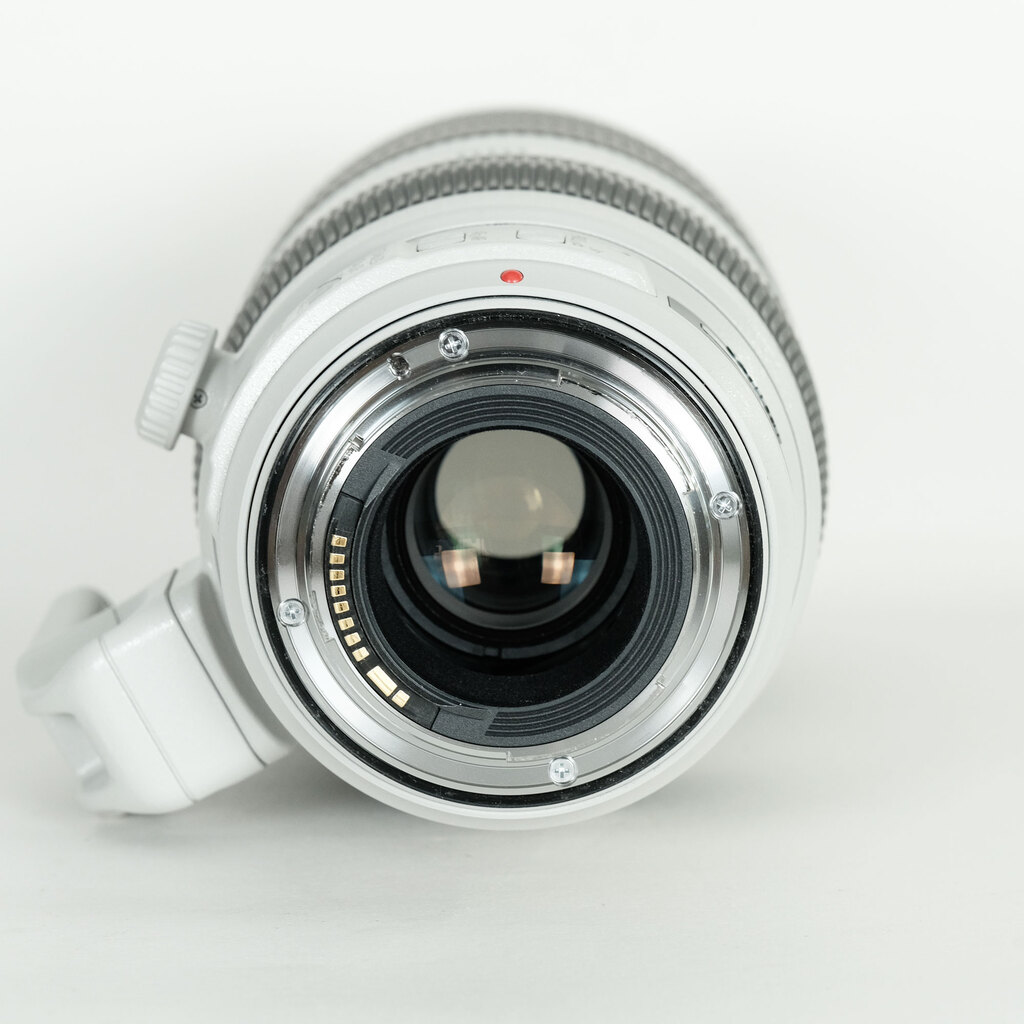 Canon EF100-400mm F4.5-5.6L IS II USM