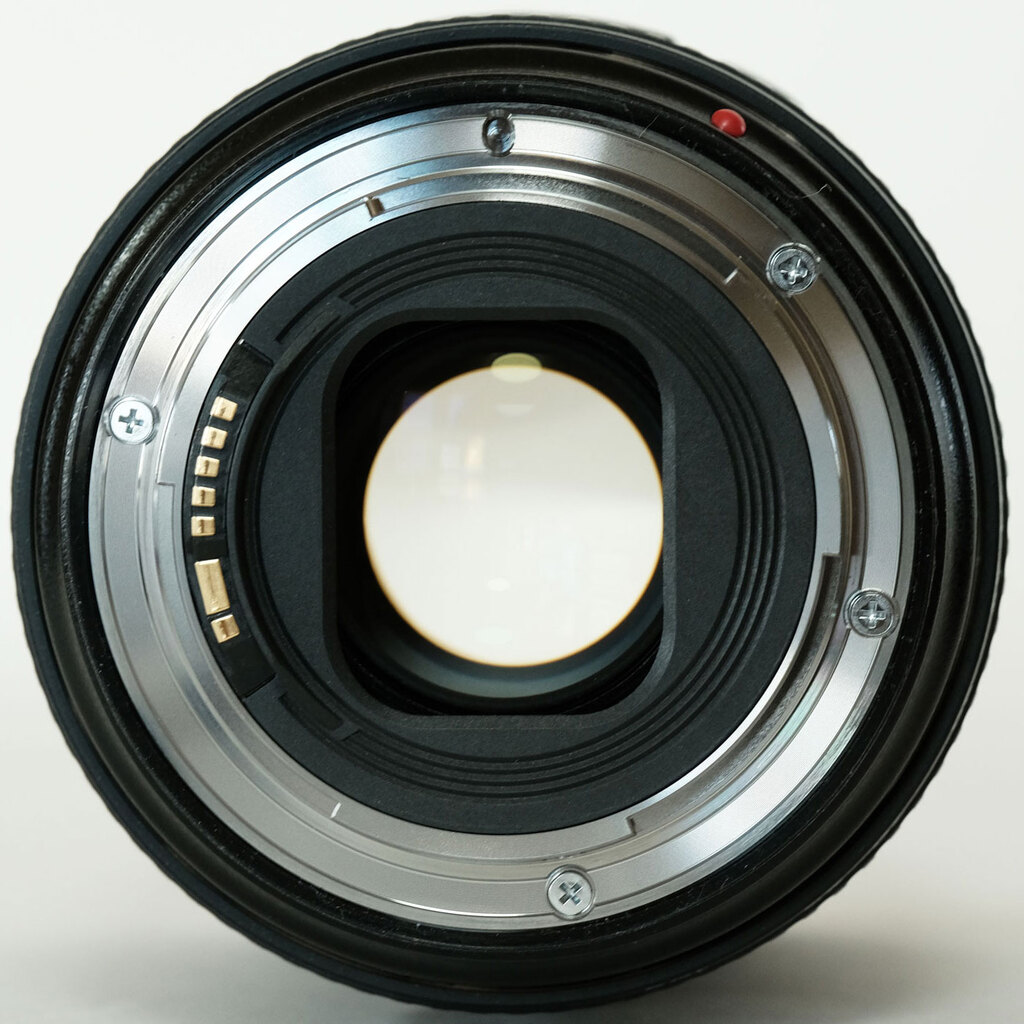 Canon EF24-105mm F4L IS II USM