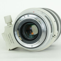 Canon EF70-300mm F4-5.6L IS USM