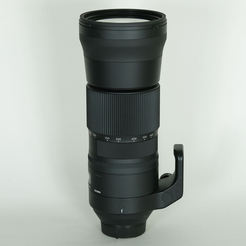 SIGMA 150-600mm F5-6.3 DG OS HSM｜Contemporary [ニコンF用]