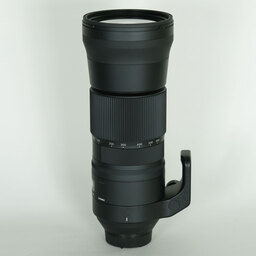 SIGMA 150-600mm F5-6.3 DG OS HSM｜Contemporary [ニコンF用]
