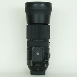 SIGMA 150-600mm F5-6.3 DG OS HSM｜Contemporary [ニコンF用]
