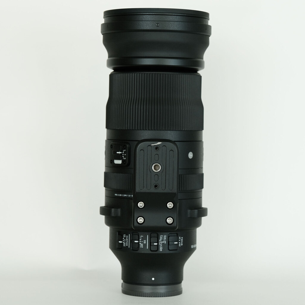 SIGMA 150-600mm F5-6.3 DG DN OS｜Sports [ソニーE用]