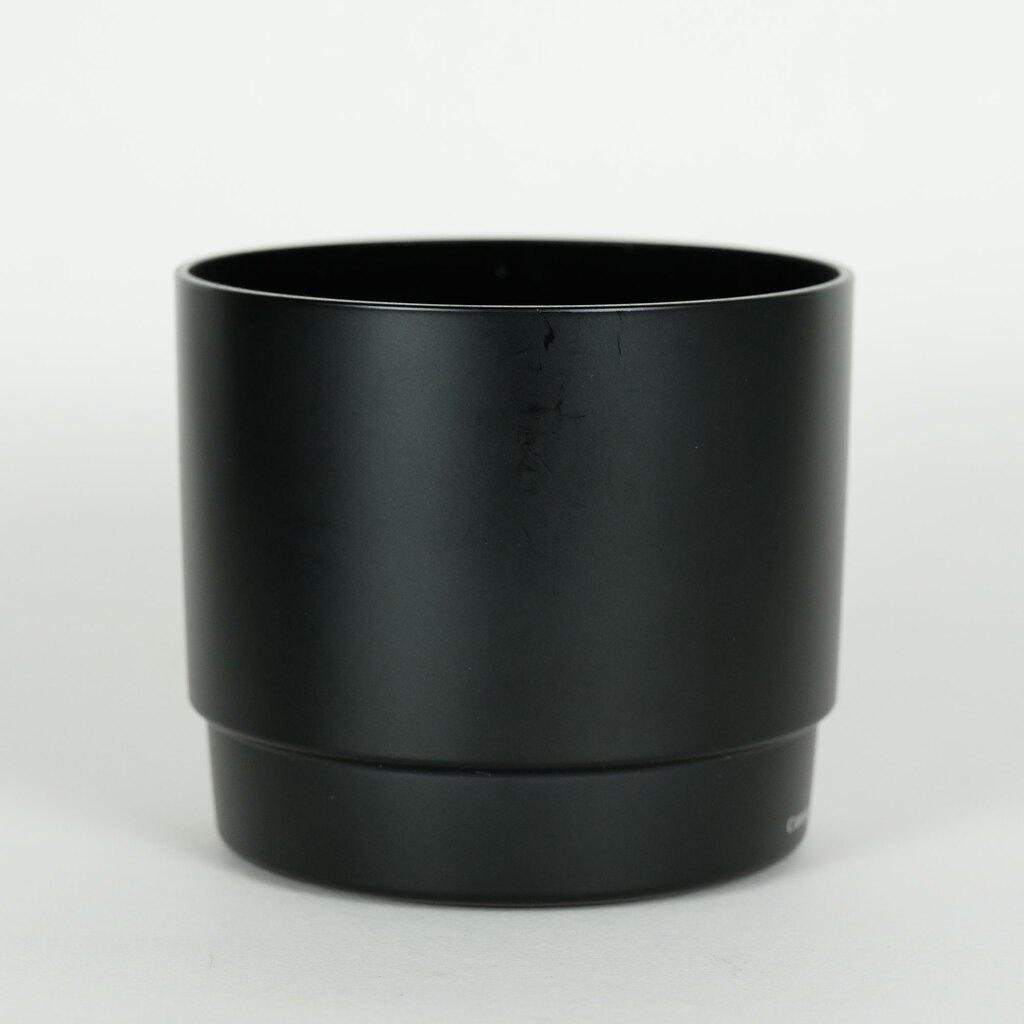 Canon EF100mm F2.8 マクロ USM