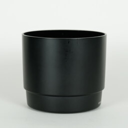 Canon EF100mm F2.8 マクロ USM