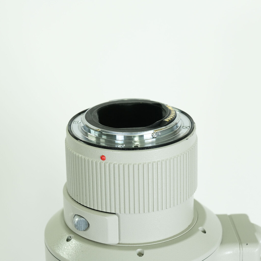 Canon EF500mm F4L IS USM