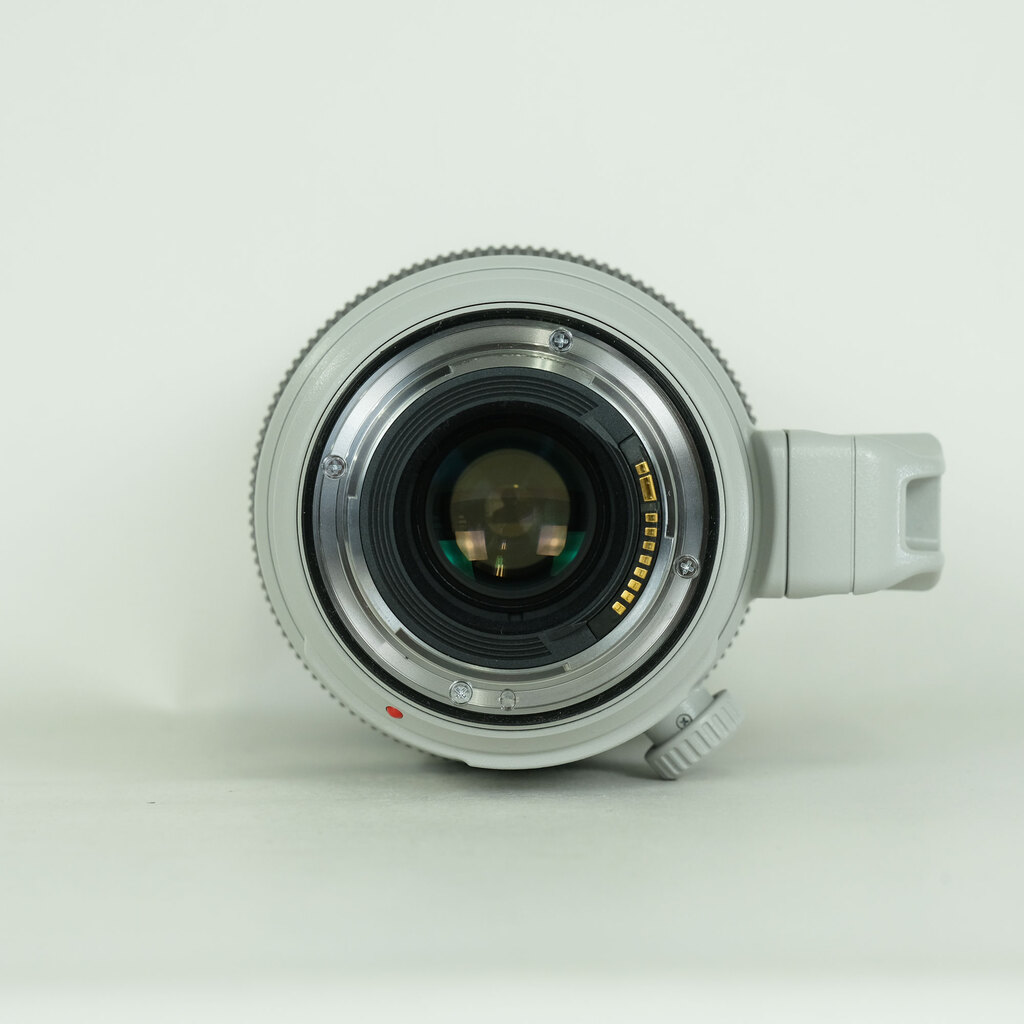 Canon EF100-400mm F4.5-5.6L IS II USM