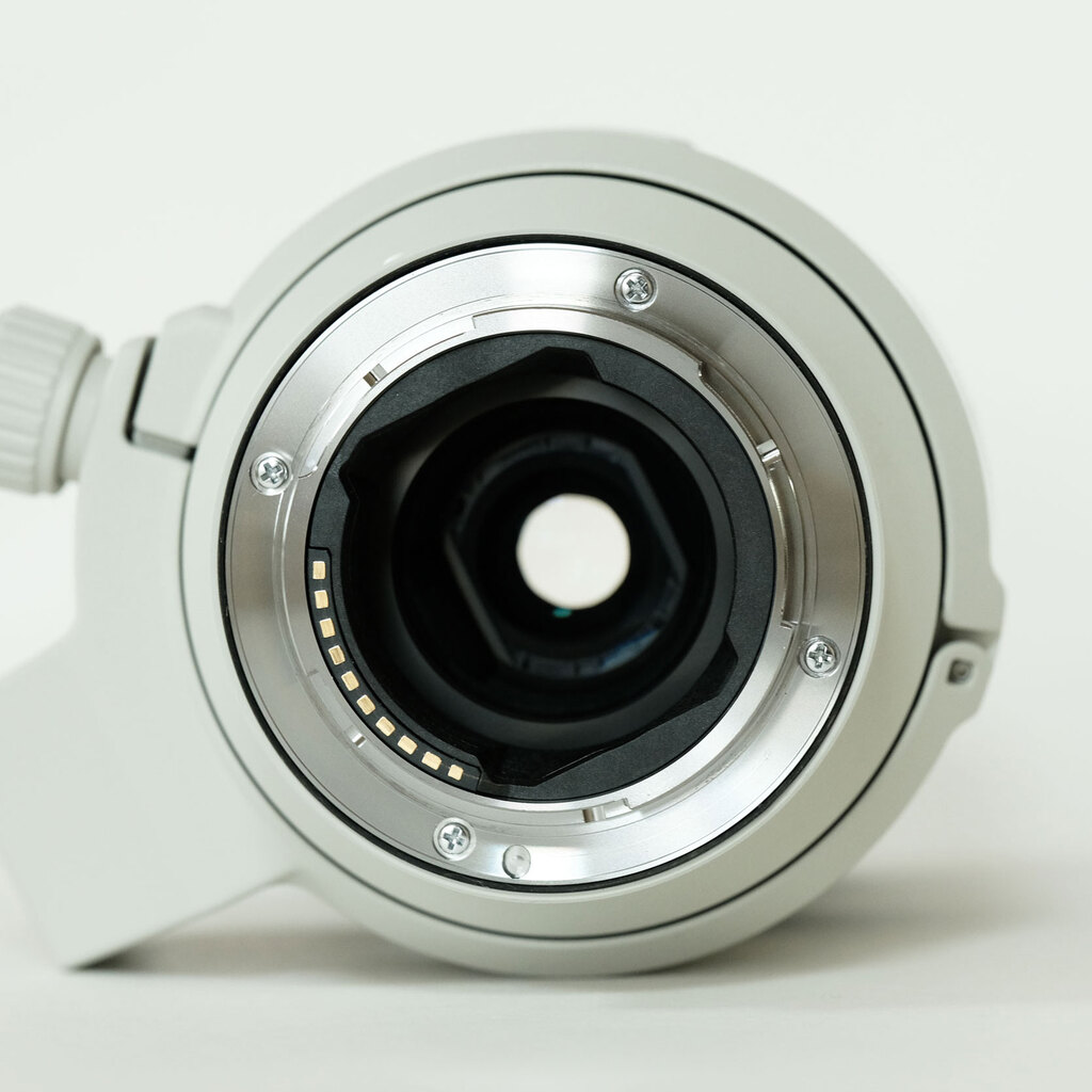 SONY FE70-200mm F4 Macro G OSS II SEL70200G2