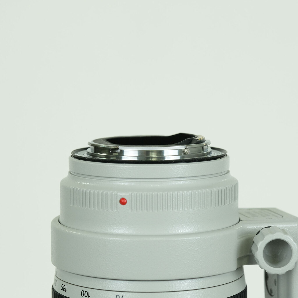 Canon EF70-200mm F2.8L IS III USM