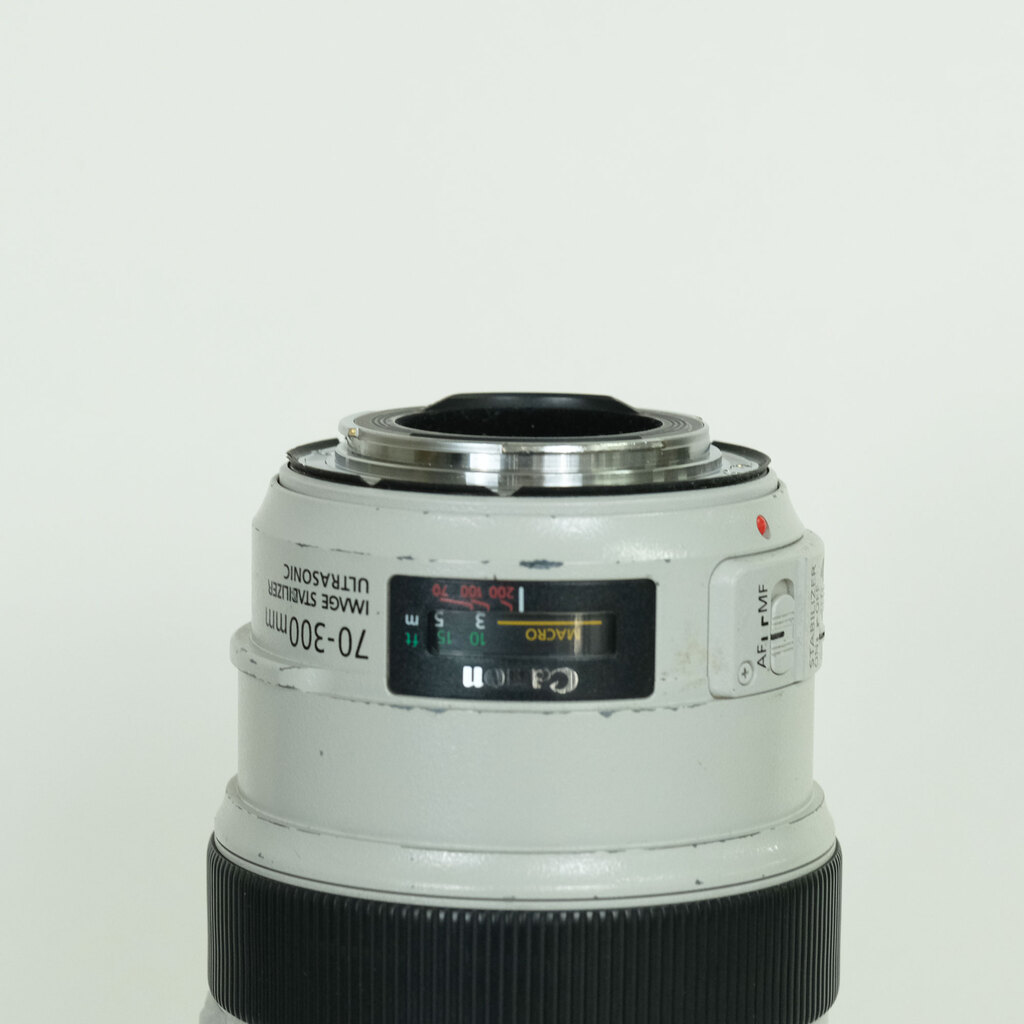 Canon EF70-300mm F4-5.6L IS USM